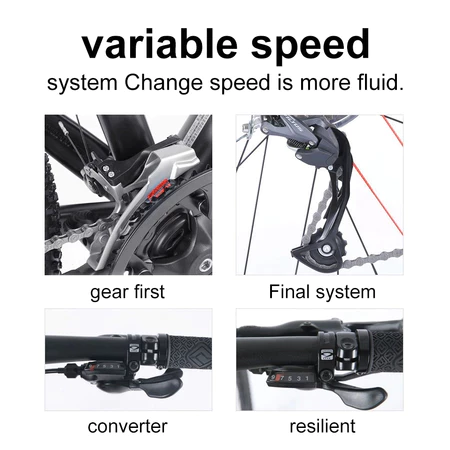 Adult Bike with Disc Brakes 26inch