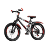 Kids Mountain Bike with Disc Brakes