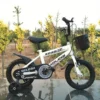 Kids Lightweight Iron Frame Bike