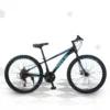 Adult Mountain Bike with 21 Speed Gearing